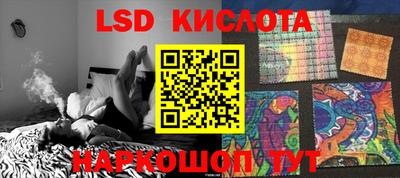 дмт Кудрово