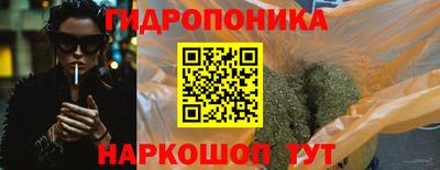 дмт Кудрово
