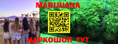 дмт Кудрово