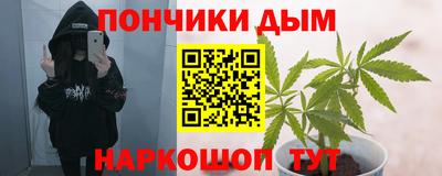дмт Кудрово